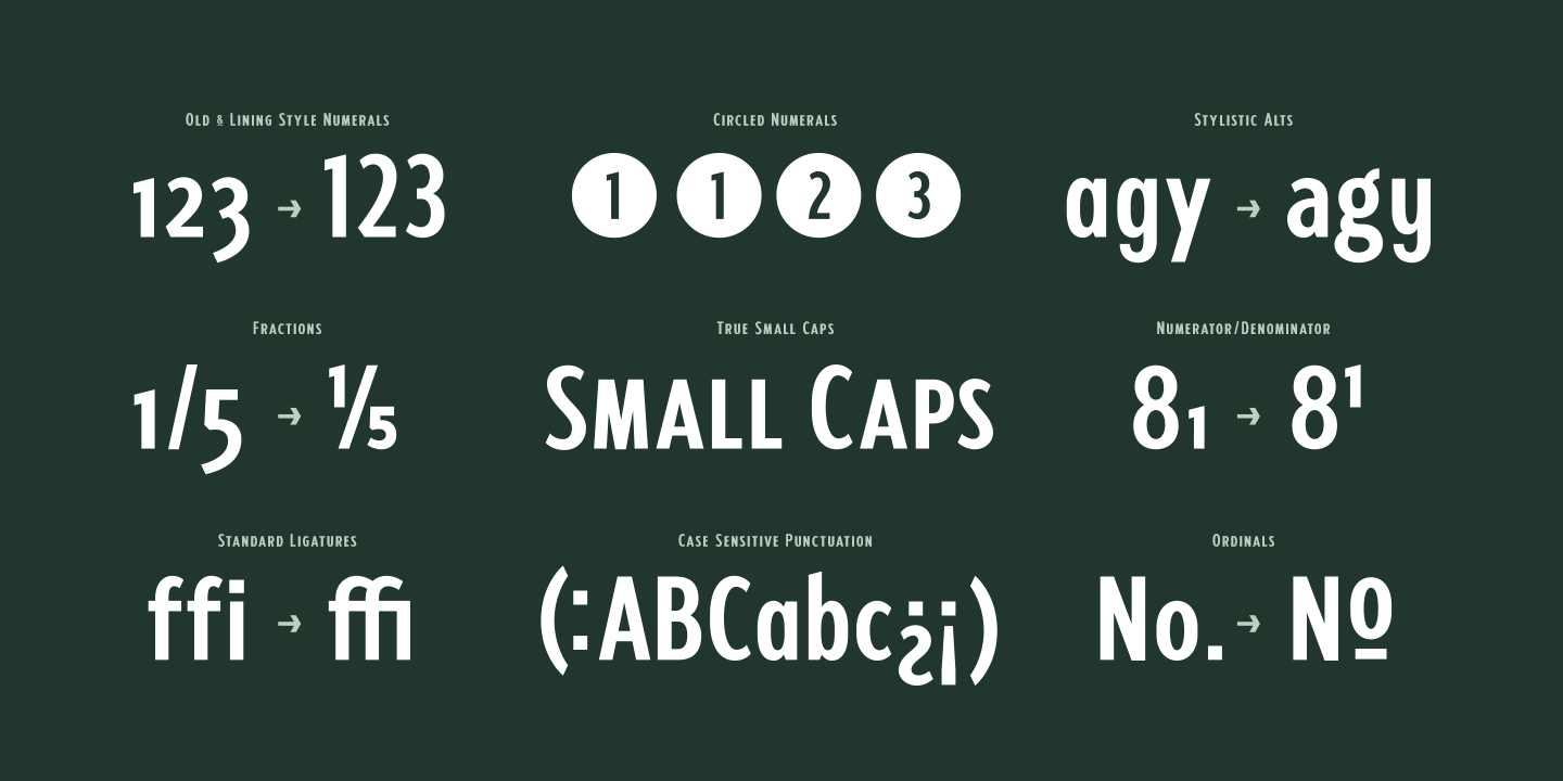 Ejemplo de fuente Fellbaum Grotesk Medium